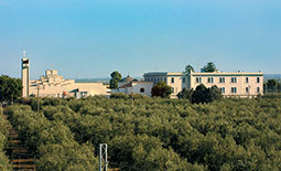 Santuario Santuario